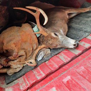 Meet your Posher, Brayden